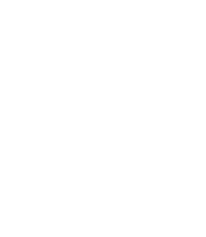 Братя Илчови